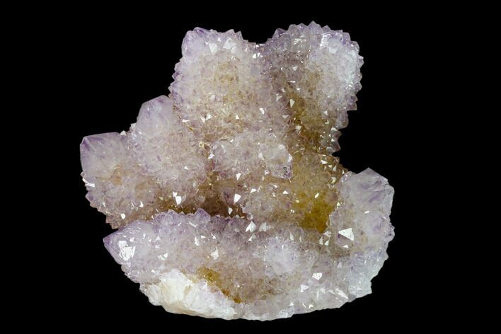 Cactus Quartz (Amethyst) Crystal Cluster - South Africa #137795